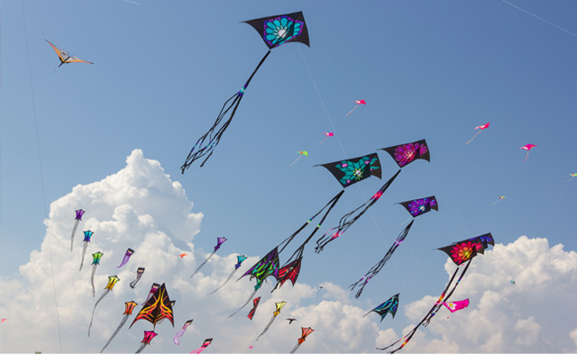 Kites Flying