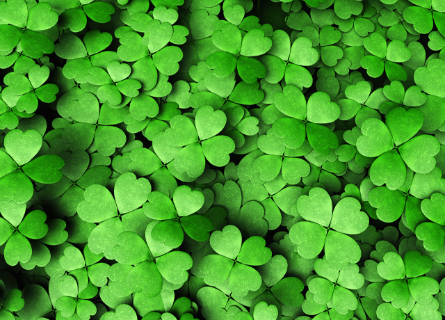 Four Leaf Clovers: St. Patrick's Day