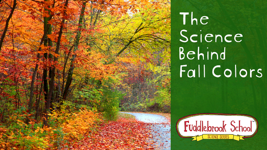 The Science Behind Fall Colors