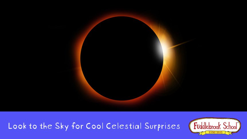 Look to the Sky For Celestial Surprises - Solar Eclipse